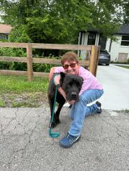 Reunited Male Dog last seen Panama Drive , Nashville, TN 37076