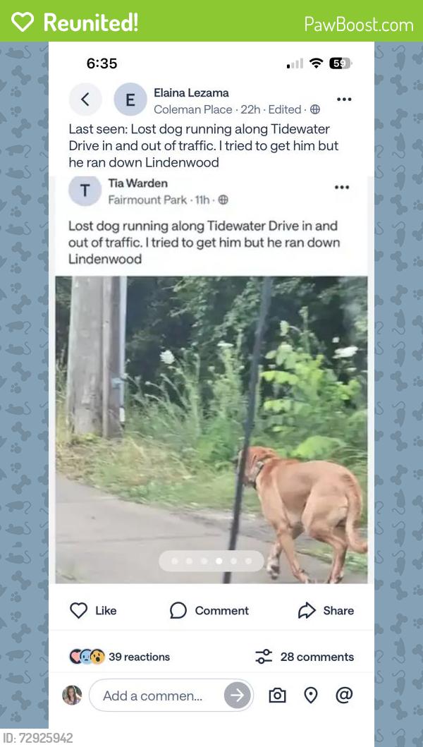 Reunited Unknown Dog last seen Tidewater, Norfolk, VA 23504