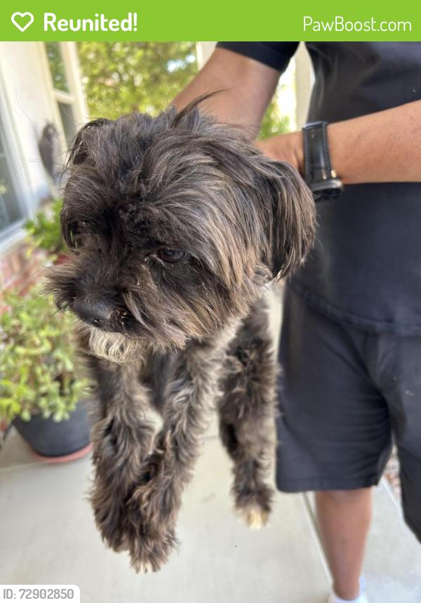 Reunited Male Dog last seen By Heritage Lake Sports Park, Menifee, CA 92585