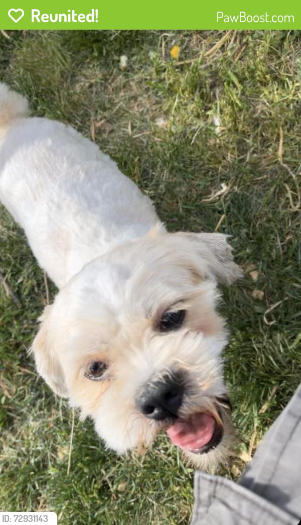 Reunited Male Dog last seen Parkway street,  east pall mall, Shenandoah ave, Winchester, VA 22601