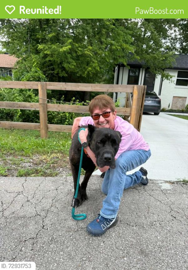 Reunited Male Dog last seen Panama Drive , Nashville, TN 37076