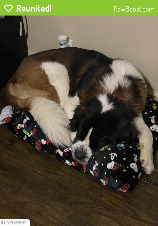 Reunited Male Dog last seen 36th st and Emerson , Indianapolis, IN 46218