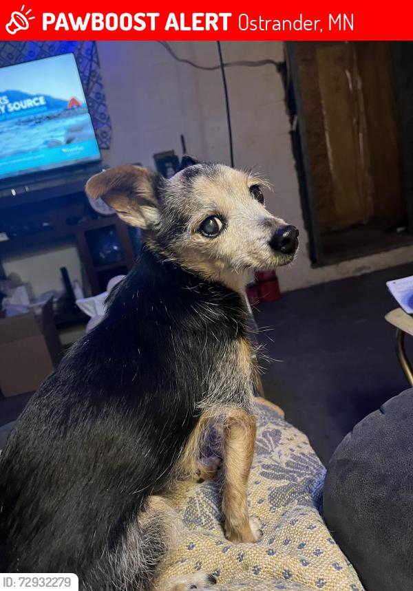 Lost Male Dog last seen South street and Minnesota Street , Ostrander, MN 55961