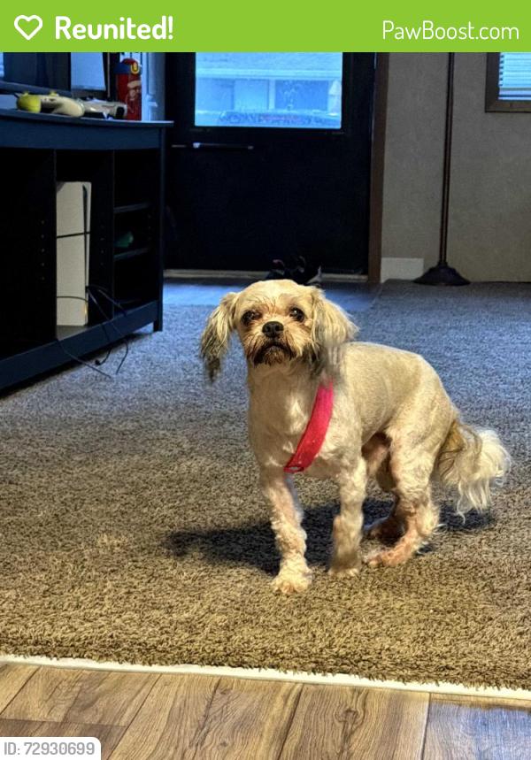 Reunited Unknown Dog last seen Beechgrove , Beech Grove, IN 46107