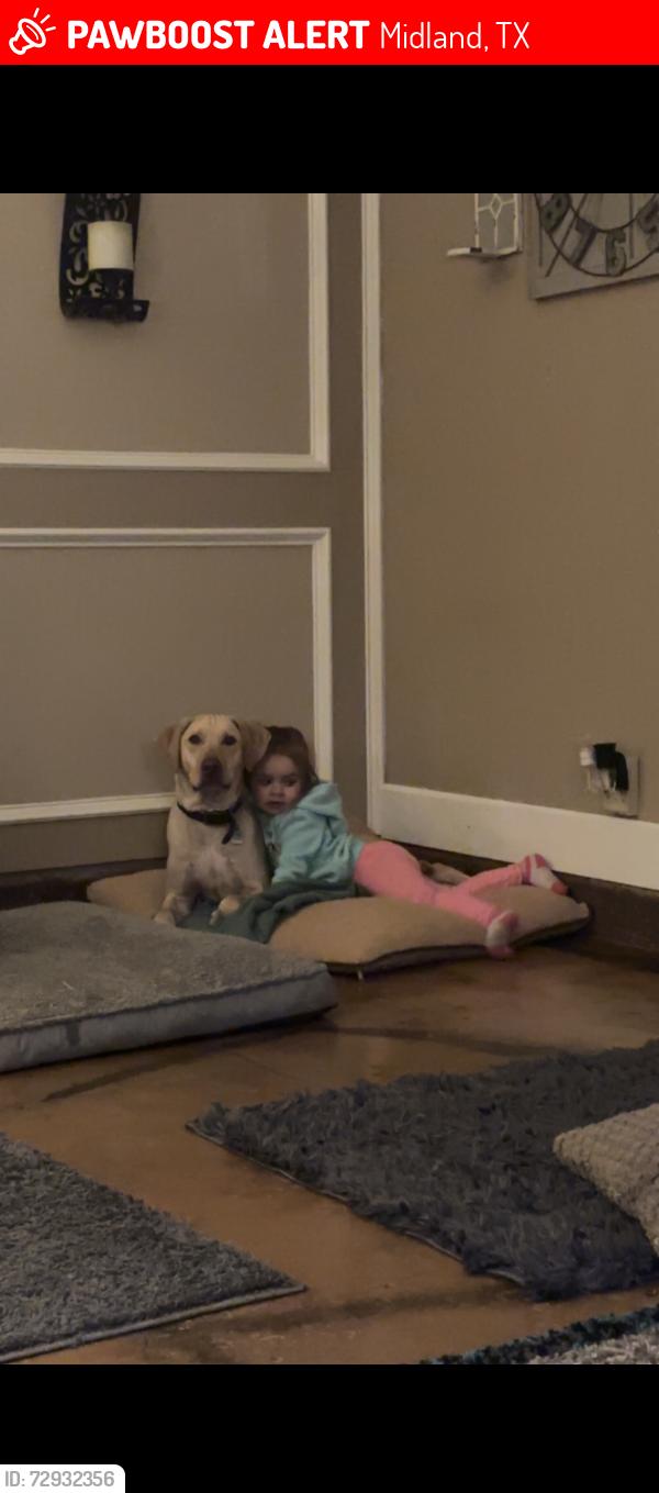 Lost Male Dog last seen Park by 5315 freedom court, Midland, TX 79703