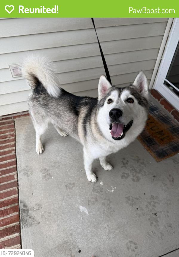 Reunited Male Dog last seen Kernersville Rd, Winston-Salem, NC 27107