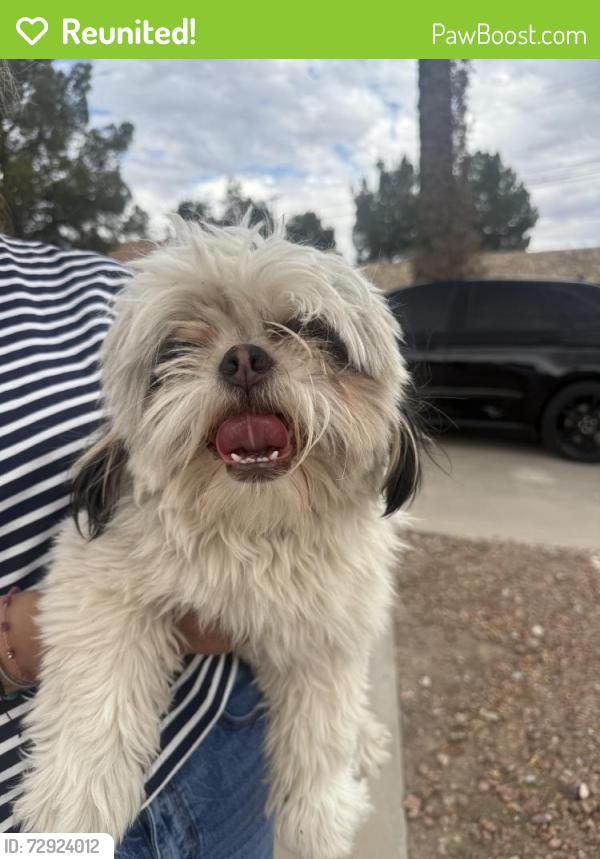 Reunited Male Dog last seen Doniphan and Reed, El Paso, TX 79932