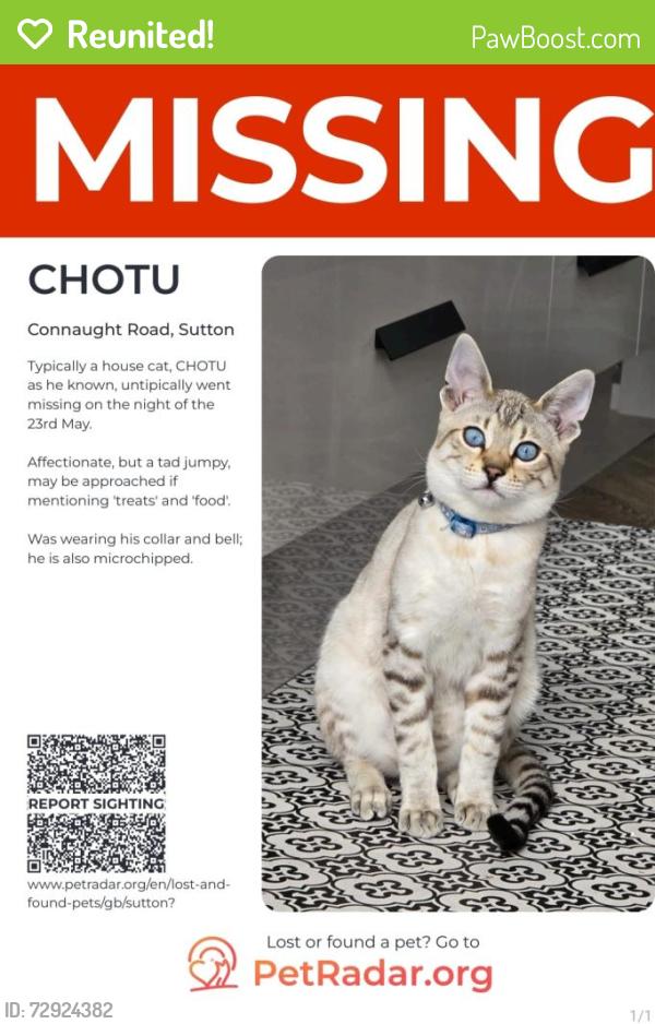 Reunited Male Cat last seen Connaught road Sutton/Duke of Edinburgh road , Greater London, England SM1