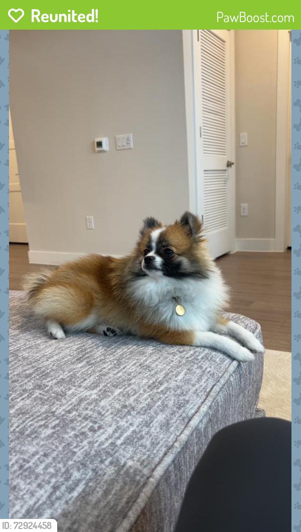 Reunited Male Dog last seen Off northwest military , Shavano Park, TX 78231
