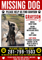 Reunited Male Dog last seen Near south an wayside, Houston, TX 77023