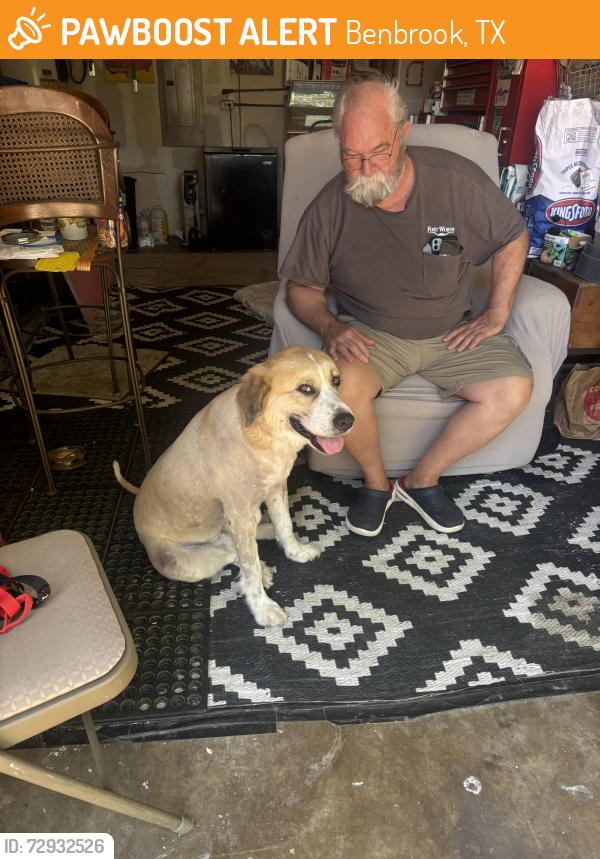 Found/Stray Male Dog last seen Cherry lane and camp bowie west 76116, Benbrook, TX 76116