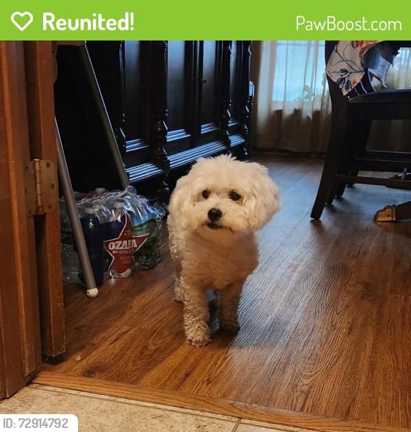 Reunited Female Dog last seen Starnes Rd, North Richland Hills, TX 76182