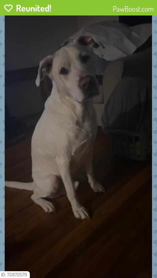 Reunited Male Dog last seen Finley ave and Boyd Ave , Indianapolis, IN 46203