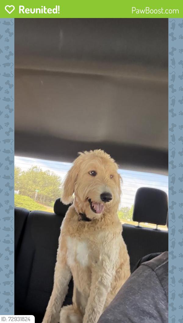 Reunited Male Dog last seen Mount Vernon Rd. , Gainesville, GA 30506