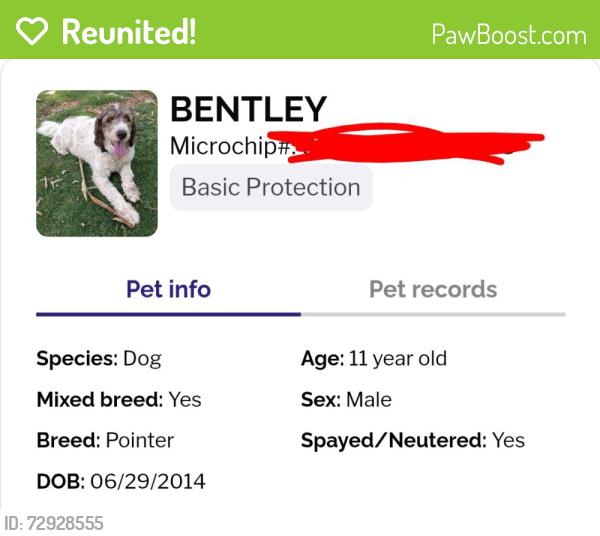Reunited Male Dog last seen Aldea del sol neighborhood , Tucson, AZ 85746