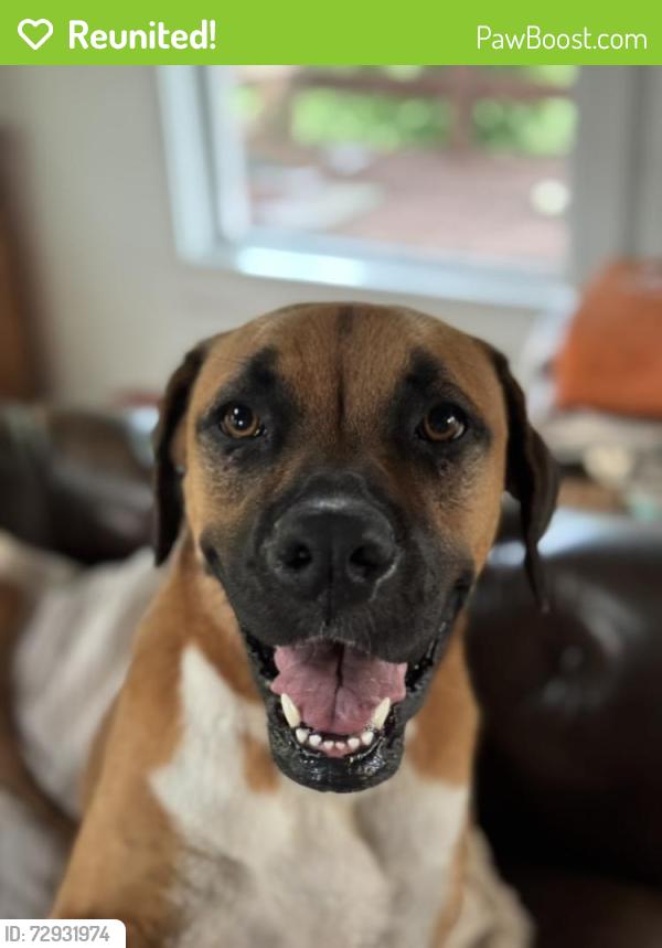 Reunited Female Dog last seen Near Co Rd 194, Georgetown, TX 78626, USA, Georgetown, TX 78626