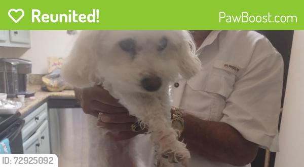 Reunited Female Dog last seen Newgate, Spring, TX 77386