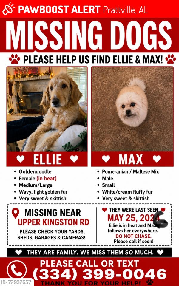 Lost Female Dog last seen Upper Kingston rd Prattville , Prattville, AL 36067