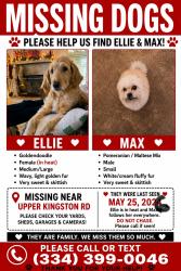 Lost Female Dog last seen Upper Kingston rd Prattville , Prattville, AL 36067