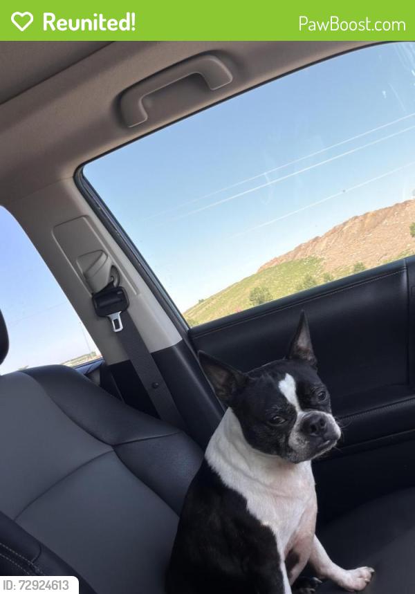 Reunited Female Dog last seen meridian and 53rd, Wichita, KS 67204