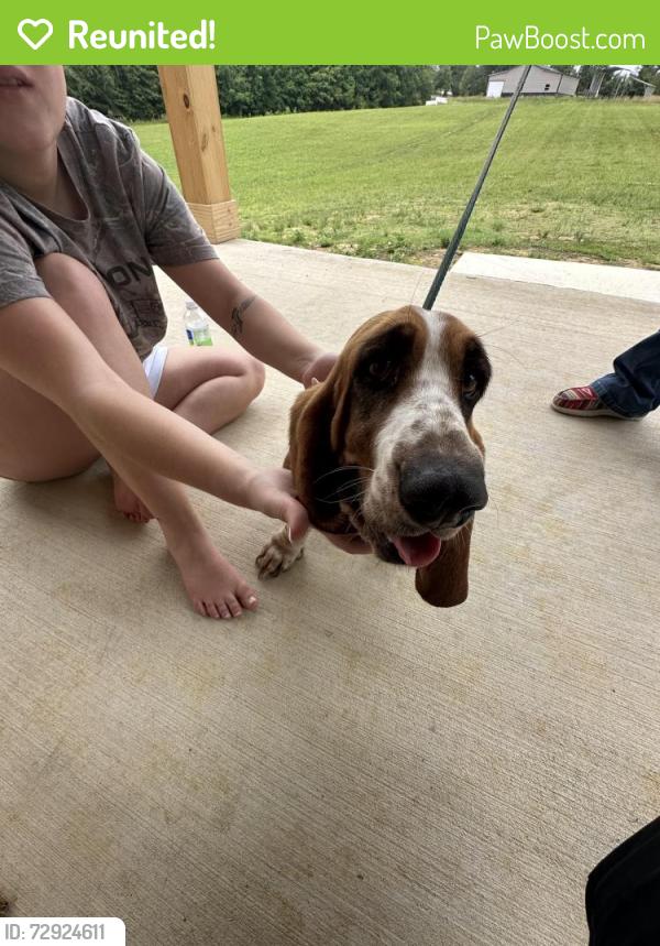 Reunited Female Dog last seen Do not know, Oscar Gammon Rd, NC 27302