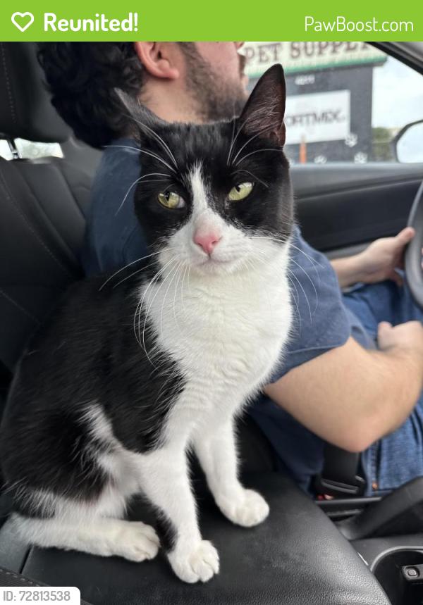 Reunited Female Cat last seen Fenwood Dr, Perez Rd, and Queens Rd, Pasadena, TX, Pasadena, TX 77502