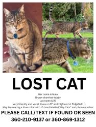 Lost Female Cat last seen Highland st, Ridgefield, WA 98642