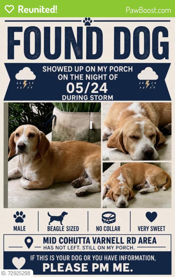 Reunited Male Dog last seen Near Coker Farm subdivision , Cohutta, GA 30710