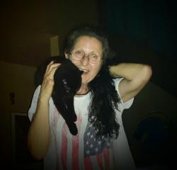 Reunited Male Cat last seen Indian Town Farms at Mt. Joy & Mission Place , Sussex County, DE 19966