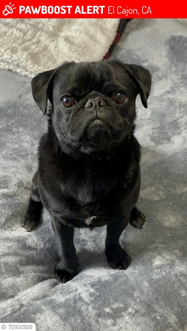 Lost Male Dog last seen Blossom Valley Elementary School , El Cajon, CA 92021