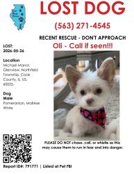 Lost Male Other last seen central and warren, glenview , Glenview, IL 60025