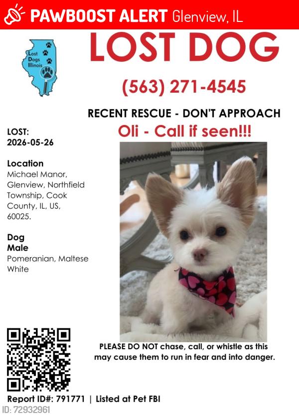 Lost Male Other last seen central and warren, glenview , Glenview, IL 60025