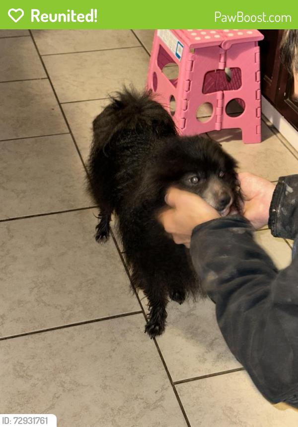 Reunited Unknown Dog last seen Middle park / Parkland, Pasadena, TX 77504