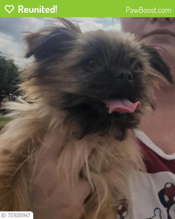 Reunited Male Dog last seen Chapman Farms Edition, Hewitt, TX 76643