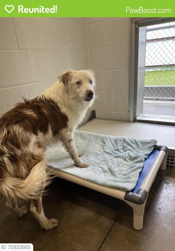 Reunited Male Dog last seen Near NW 54th St, Warr Acres, OK 73122