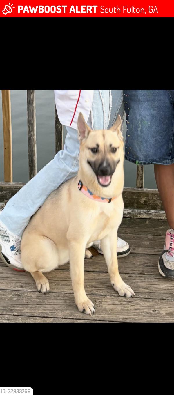 Lost Female Dog last seen Camp creek parkway, South Fulton, GA 30331
