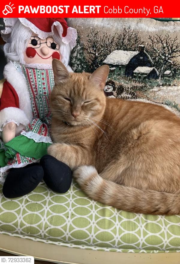 Lost Female Cat last seen Rocky mount elementary, Cobb County, GA 30066