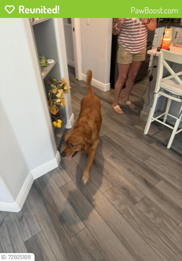 Reunited Male Dog last seen 10th and 28th, Palmetto, FL 34221