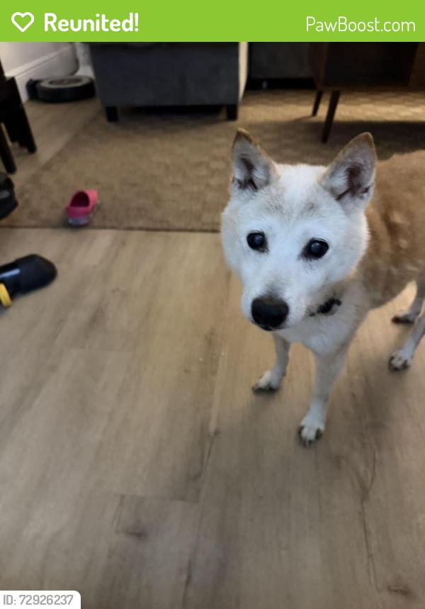 Reunited Male Dog last seen Behind prospect, Oakland Park, FL 33334