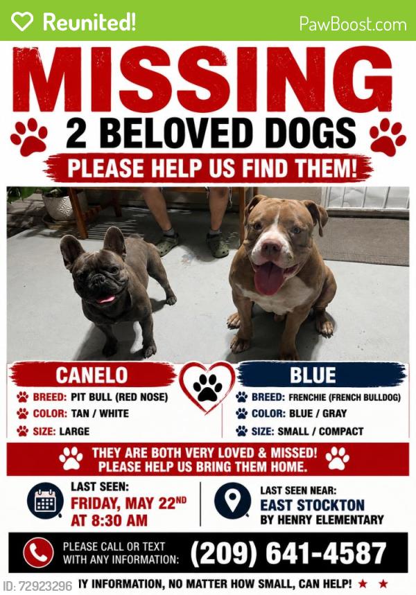 Reunited Male Dog last seen Near Section Ave, Stockton, CA 95215, USA, Stockton, CA 95215