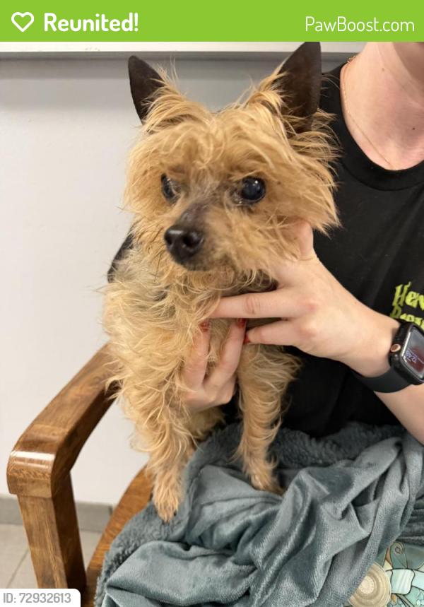 Reunited Male Dog last seen Sunset Ave and Adelaide St, Belleville, NJ 07109