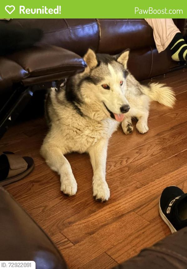 Reunited Male Dog last seen W Tantallon Dr, Fort Washington, MD 20744, USA, Fort Washington, MD 20744