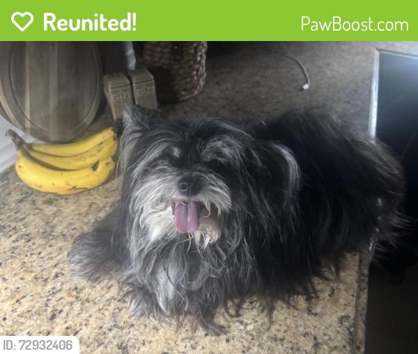Reunited Female Dog last seen Hawks Landing Edmond OK, Edmond, OK 73003