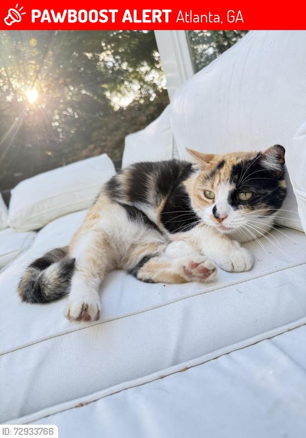 Lost Female Cat last seen Custer , Atlanta, GA 30316