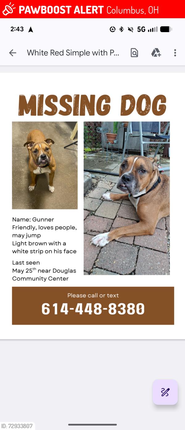Lost Male Dog last seen Douglas Community Center, Columbus, OH 43211