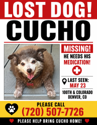Lost Male Dog last seen Wrangler St and Colorado, Thornton, CO 80229