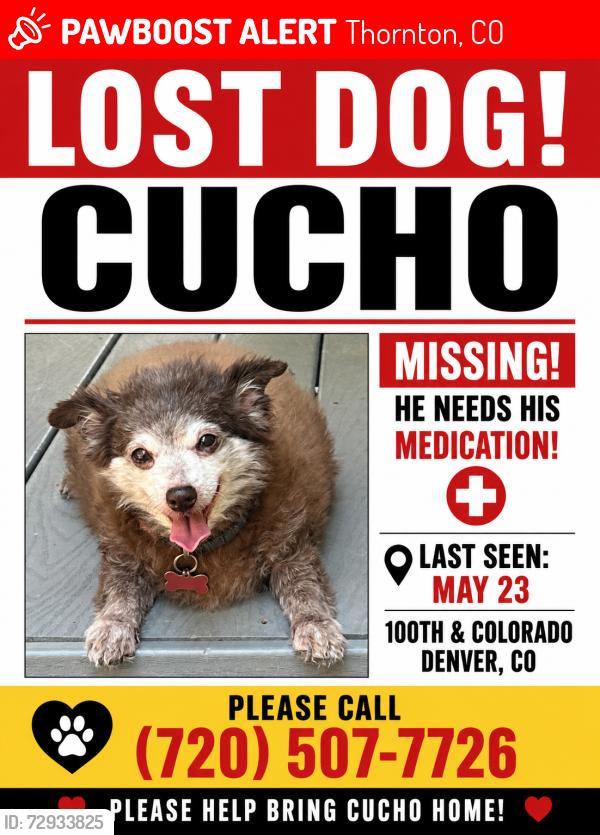 Lost Male Dog last seen Wrangler St and Colorado, Thornton, CO 80229