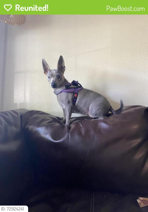 Reunited Female Dog last seen Near e key blvd, Midwest City, OK 73110