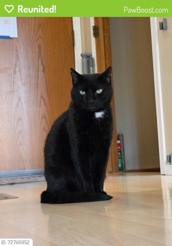 Reunited Male Cat last seen Pawnee and Webb, Wichita, KS 67207