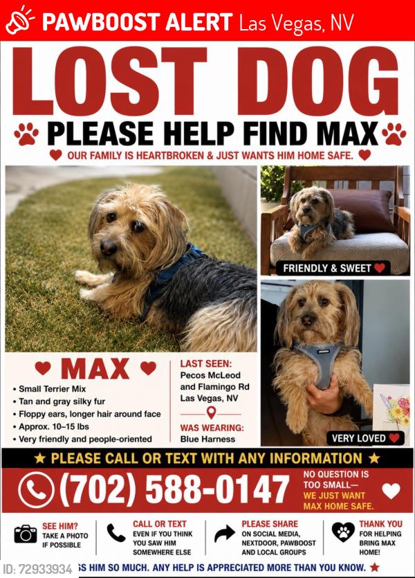 Lost Male Dog last seen Pecos McLeod & Flamingo Road, Las Vegas, NV 89121